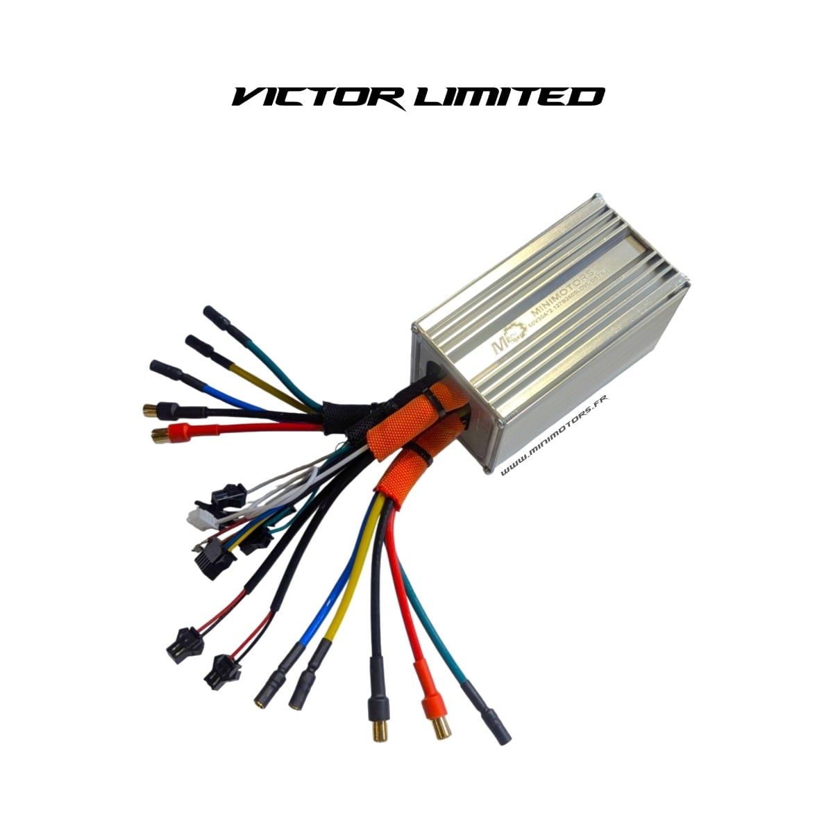 Controller 60V for Dualtron Victor LTD Controller 60V for Dualtron Victor LTD